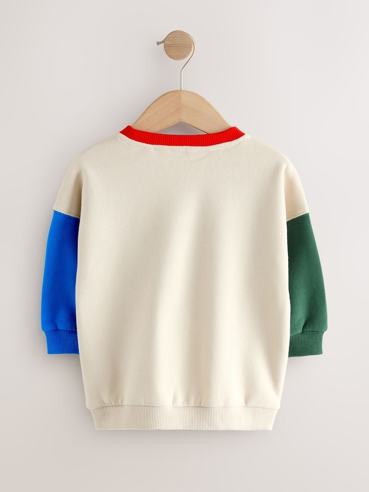 Ecru Colourblock Appliqué Crew Neck Jersey Sweatshirt (3mths-7yrs) - Image 4 of 4