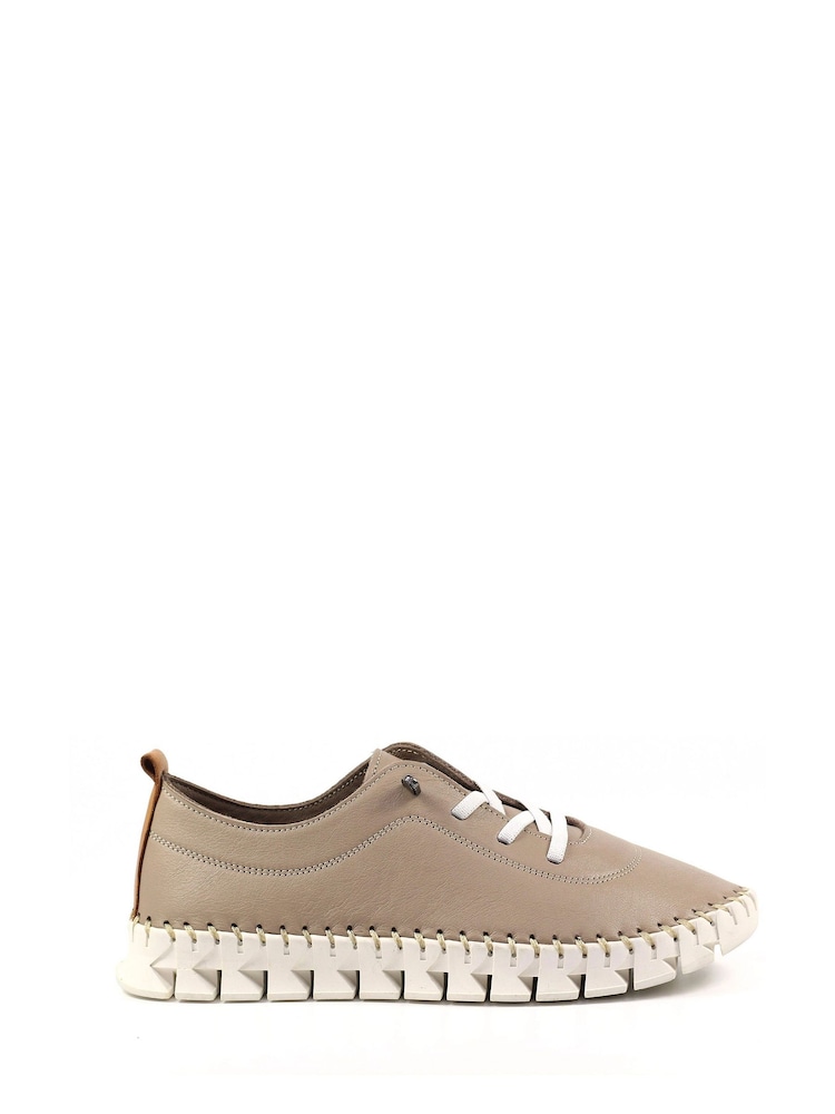 Lunar naravna St Austell Leather Plimsoll čevlji - Slika 2 iz 8 Lunar naravna St Austell Leather Plimsoll čevlji - Slika 2 iz 8