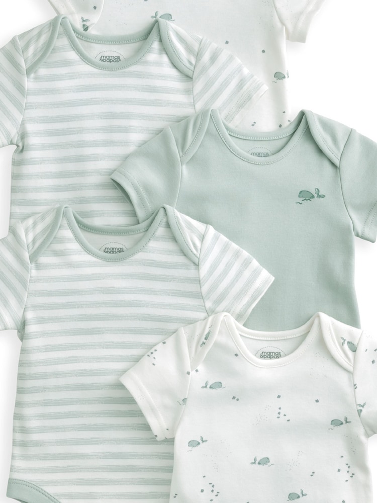 Mamas & Papas – Kurzarm-Bodys in Blau aus 100 % Baumwolle mit Wal-Motiv im 5er-Pack - Bild 2 von 2