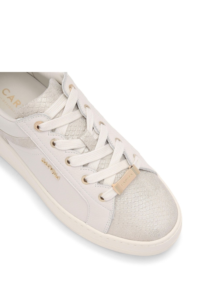 Carvela Perenne Sneakers - Image 5 of 6