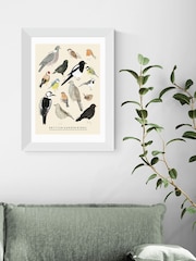 East End Prints White Garden Birds Framed Art Print - Image 1 of 3