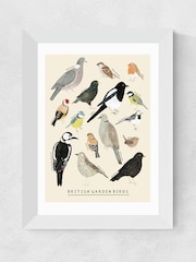 East End Prints White Garden Birds Framed Art Print - Image 2 of 3