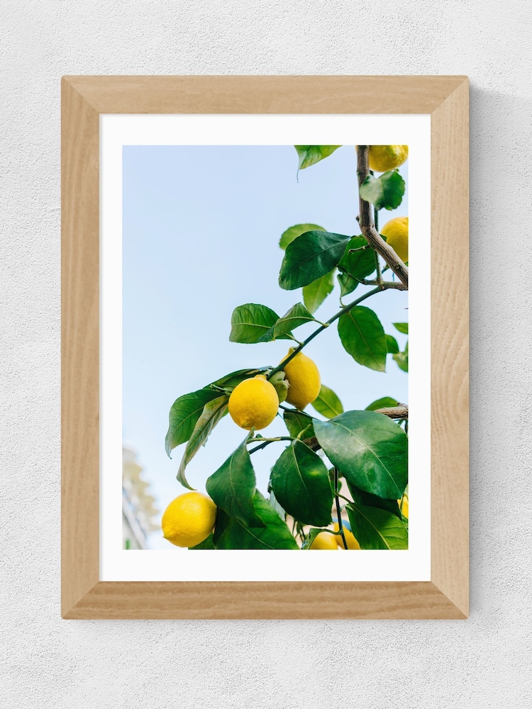 East End Prints Oak Amalfi Coast Lemons Framed Art Print - Image 2 of 3
