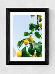 East End Prints Black Amalfi Coast Lemons Framed Art Print - Image 2 of 3