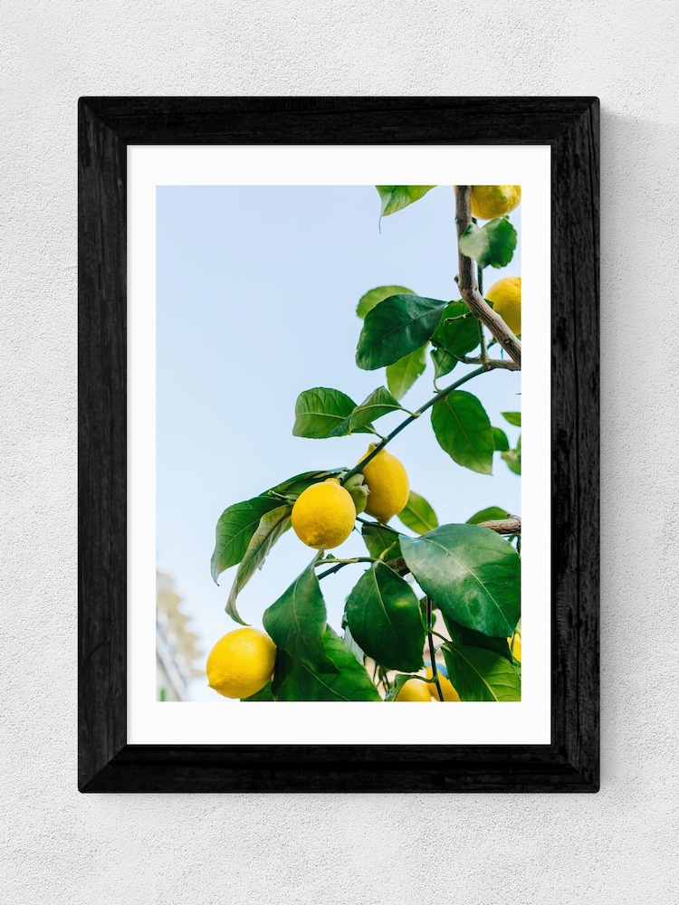 East End Prints Black Amalfi Coast Lemons Framed Art Print - Image 2 of 3