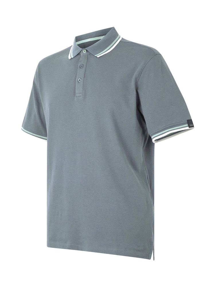 Grau - Regatta Mens Adryan Polo Shirt - Bild 7 von 7