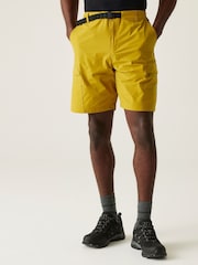 Regatta Yellow Mens Mallen Multi Pocket Shorts - Image 1 of 7