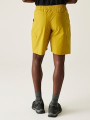 Regatta Yellow Mens Mallen Multi Pocket Shorts - Image 2 of 7