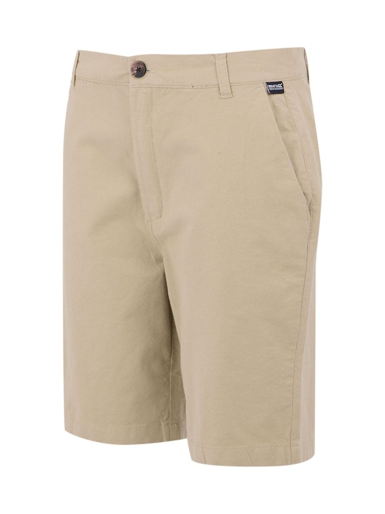 Regatta Cream Mens Sabastal Casual Shorts - Image 6 of 7