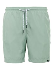 Зеленый - Regatta Mens Mackleyna Swim Shorts - Изображение 5 из 7