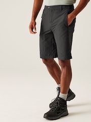 Regatta Grey Mens Highton Long Walking II Shorts - Image 1 of 7