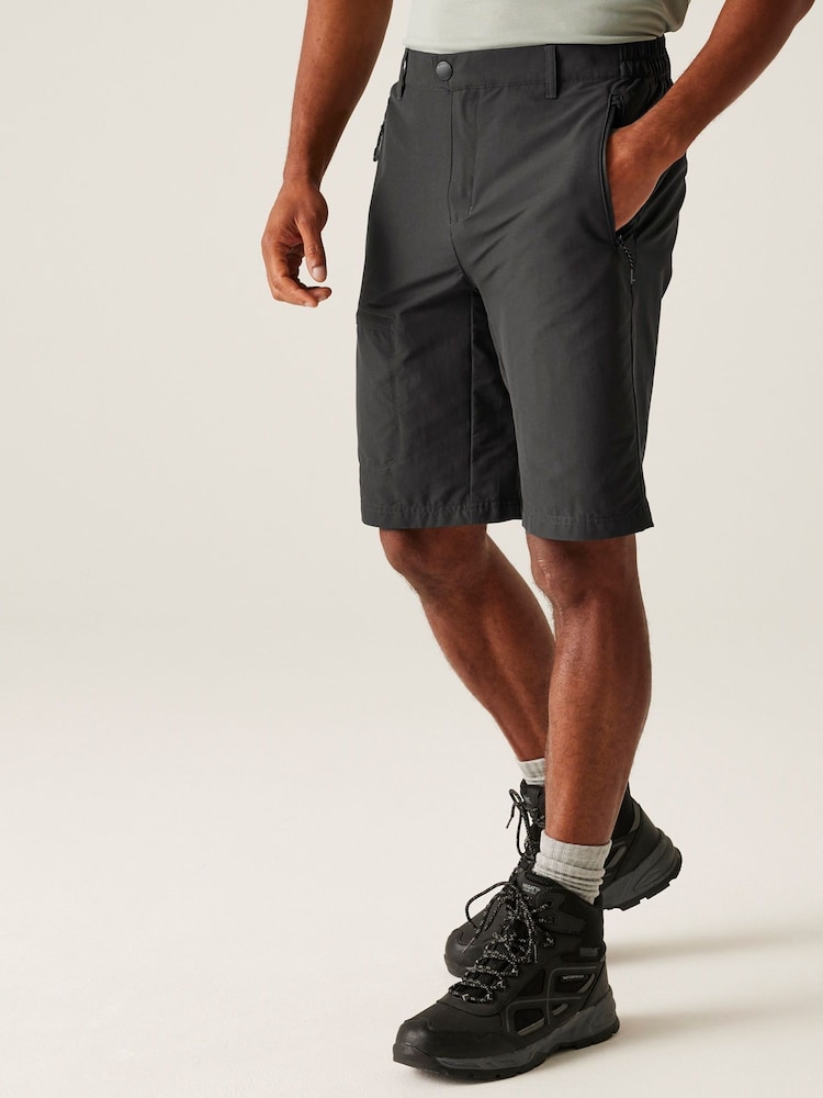 Regatta Grey Mens Highton Long Walking II Shorts - Image 1 of 7