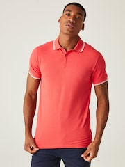 أحمر - Regatta Mens Tadeo II 100% Cotton Polo Shirt - صورة 1 من 7