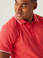 أحمر - Regatta Mens Tadeo II 100% Cotton Polo Shirt - صورة 4 من 7