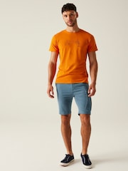 Regatta Grey Mens Bendrick Casual Cargo Shorts - Image 4 of 7