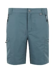 Regatta Grey Light Mens Leesville Multi Pocket III Walking Shorts - Image 1 of 3