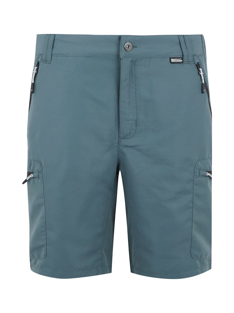 Regatta Grey Light Mens Leesville Multi Pocket III Walking Shorts - Image 1 of 3