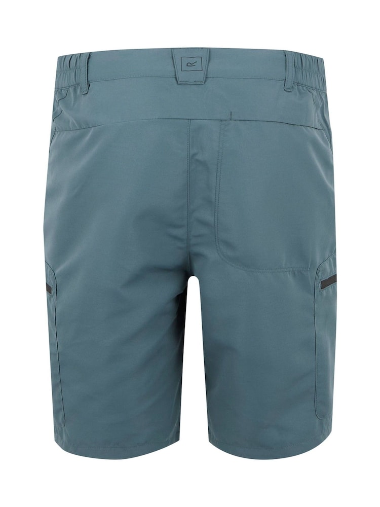 Regatta Grey Light Mens Leesville Multi Pocket III Walking Shorts - Image 2 of 3