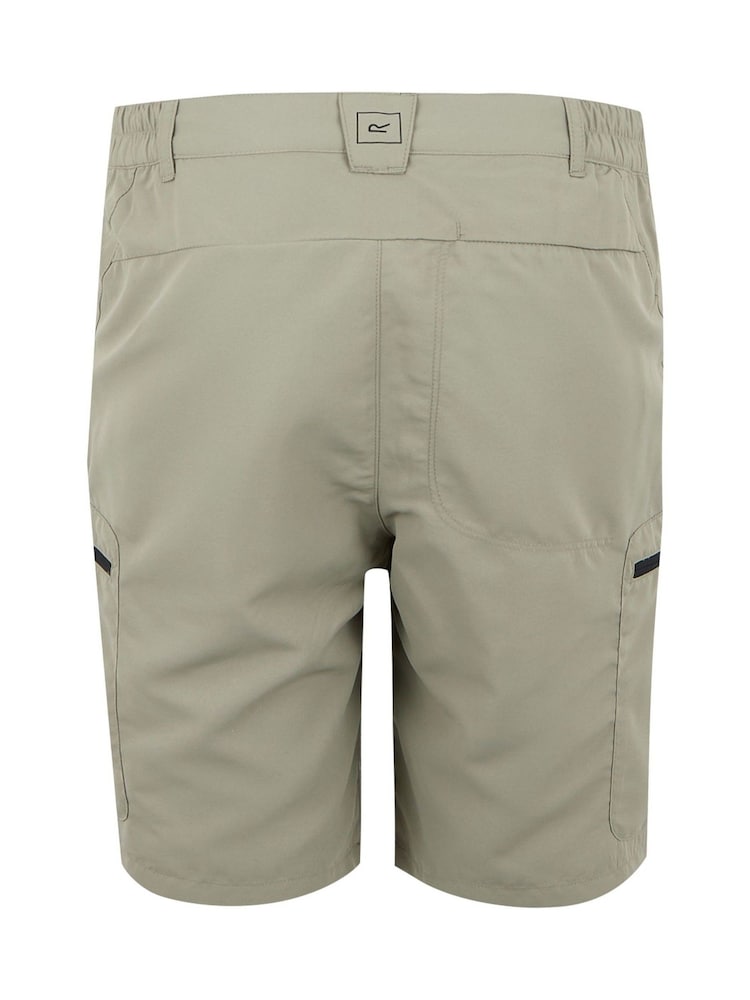 Regatta Brown Mens Leesville Multi Pocket III Walking Shorts - Image 2 of 3