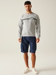 Regatta Grey Mens Nithsdale Crewneck Sweatshirt - Image 3 of 7