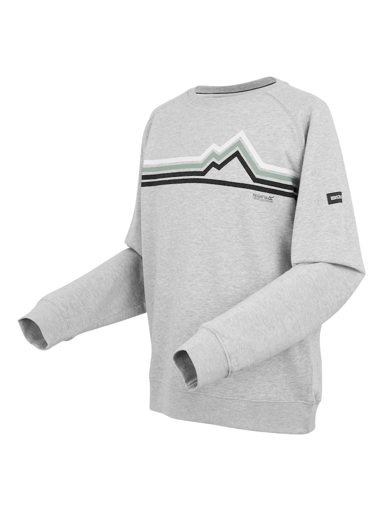 Regatta Grey Mens Nithsdale Crewneck Sweatshirt - Image 7 of 7