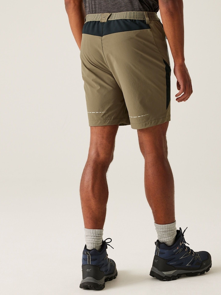 Regatta Brown Mens Mountain II Walking Shorts - Image 2 of 7 Regatta Brown Mens Mountain II Walking Shorts - Image 2 of 7