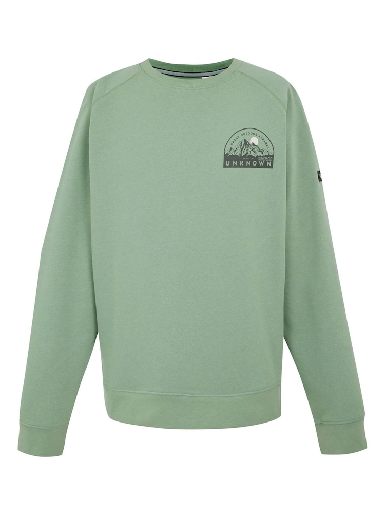 Regatta Green Mens Nithsdale Crewneck Sweatshirt - Image 5 of 7