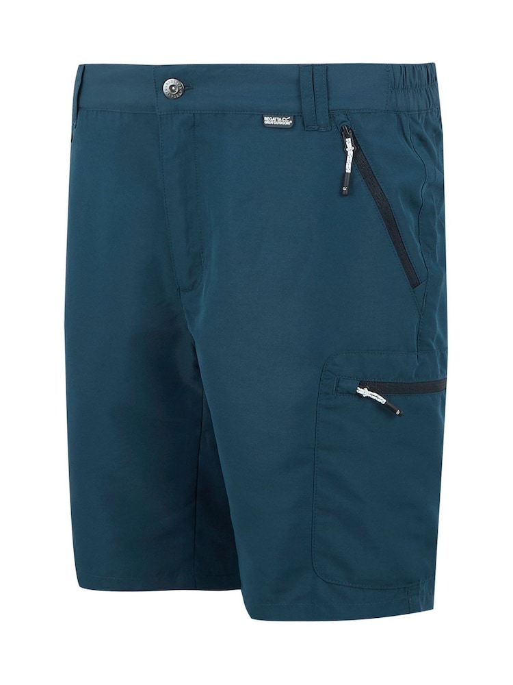 Regatta Blue Mens Leesville Multi Pocket III Walking Shorts - Image 3 of 3