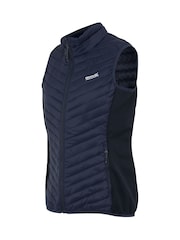 Azul - Regatta Anderson Hybrid Body Warmer Feminino - Imagem 7 de 7