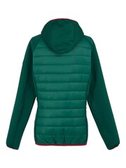 Regatta Green Womens Andreson VIII Hybrid Jacket - Image 6 of 7