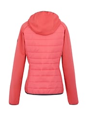 Regatta Orange Womens Andreson VIII Hybrid Walking Jacket - Image 9 of 10