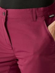 Regatta Purple Womens Chaska Capri III Trousers - Image 4 of 7