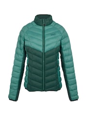 Regatta Green Womens Dalent Padded Jacket - Image 7 of 8
