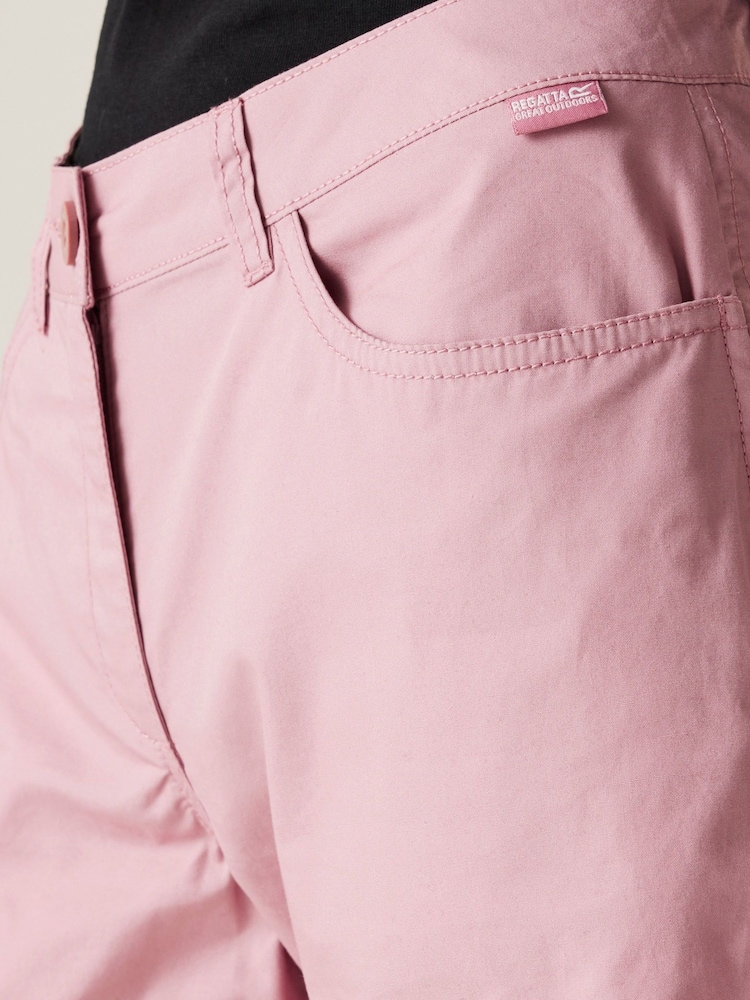 Regatta Pink Womens 100% Cotton Pemma Shorts - Image 4 of 7