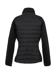 Regatta Black Womens Clumber V Hybrid Jacket - Image 6 of 7