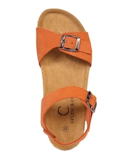 Celtic & Co. Low Wedge Dbl Buckle Sandals - Image 4 of 5