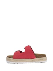 Celtic & Co. Double Buckle Sandals - Image 2 of 4