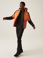 Regatta Orange Mens Hooded Dalent Padded Jacket - Image 3 of 6