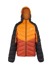 Regatta Orange Mens Hooded Dalent Padded Jacket - Image 5 of 6