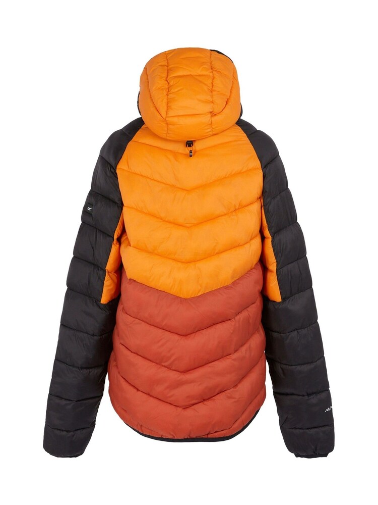 Regatta Orange Mens Hooded Dalent Padded Jacket - Image 6 of 6