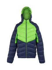Regatta Green Mens Hooded Dalent Padded Jacket - Image 5 of 6