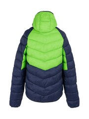 Regatta Green Mens Hooded Dalent Padded Jacket - Image 6 of 6