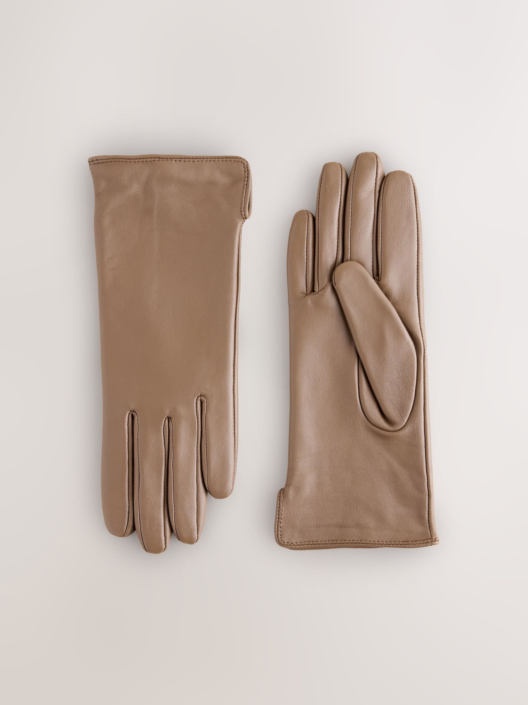 Buy Taupe Leather Gloves from Next USA