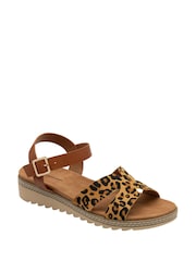Dunlop Brown Twin Strap Buckle Sandals - Image 1 of 4