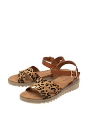 Dunlop Brown Twin Strap Buckle Sandals - Image 3 of 4