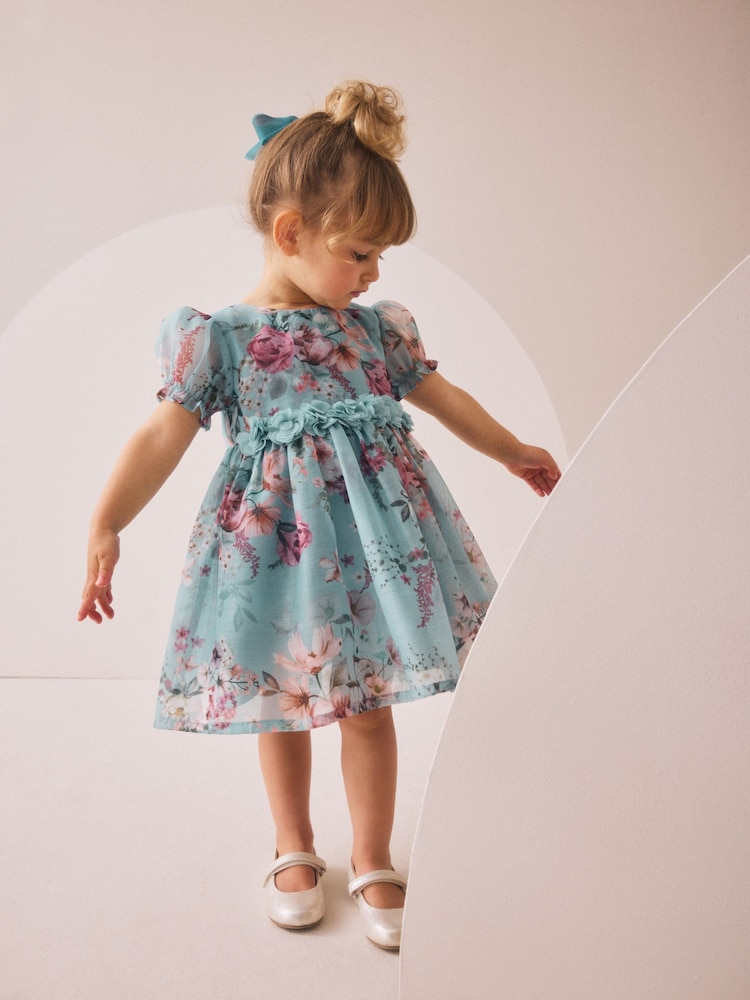 Blue Girl Flower Print Corsage Dress (3mths-8yrs) - Image 1 of 9
