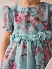 Blue Girl Flower Print Corsage Dress (3mths-8yrs) - Image 5 of 9