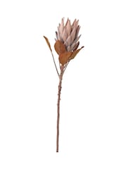 Pacific Lifestyle Mulberry Dried Flower Bunch - Image 4 of 6