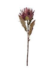 Pacific Lifestyle Mulberry Dried Flower Bunch - Image 5 of 6