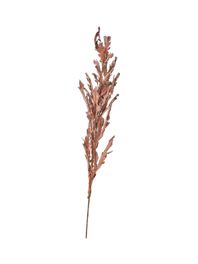 Pacific Lifestyle Mulberry Dried Flower Bunch - Image 6 of 6
